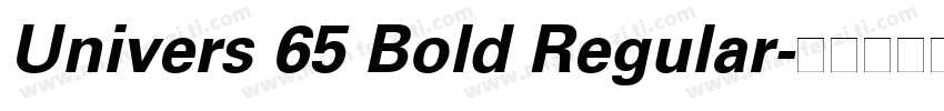 Univers 65 Bold Regular字体转换